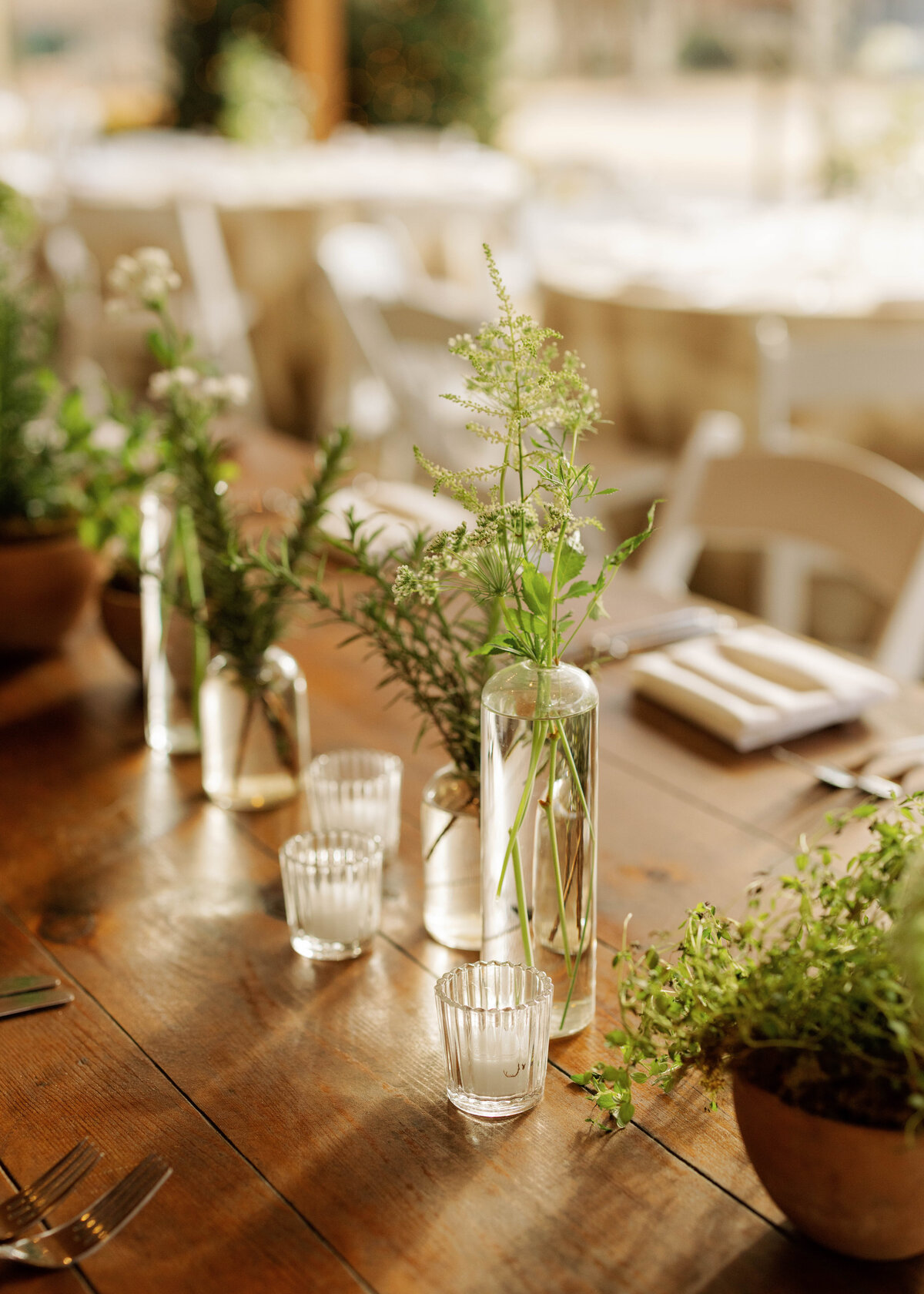 20241221_SCWedding_TLC-159