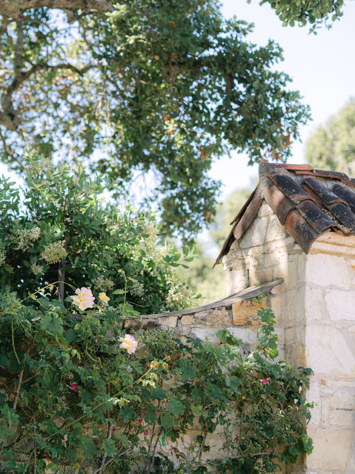 california-wedding-photographer-510-2