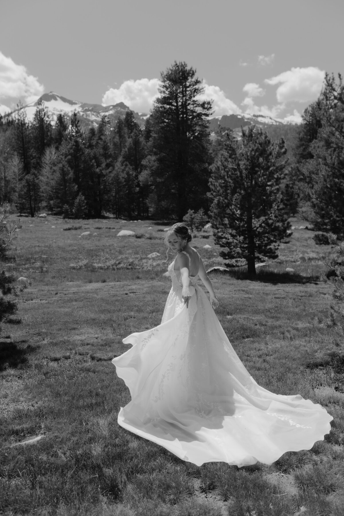Alli + Travis Aspen Creek Lodge Markleeville California Wedding Katherine Krakowski Reno Lake Tahoe Photographer-218
