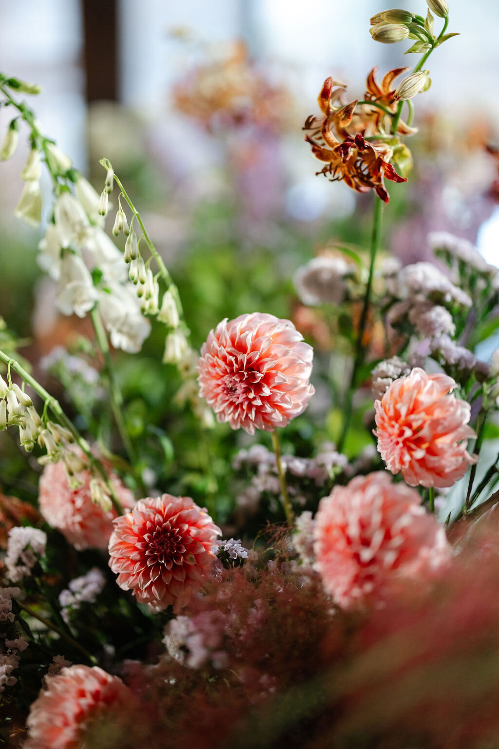 BonnieGillisPhotography-Lee-220