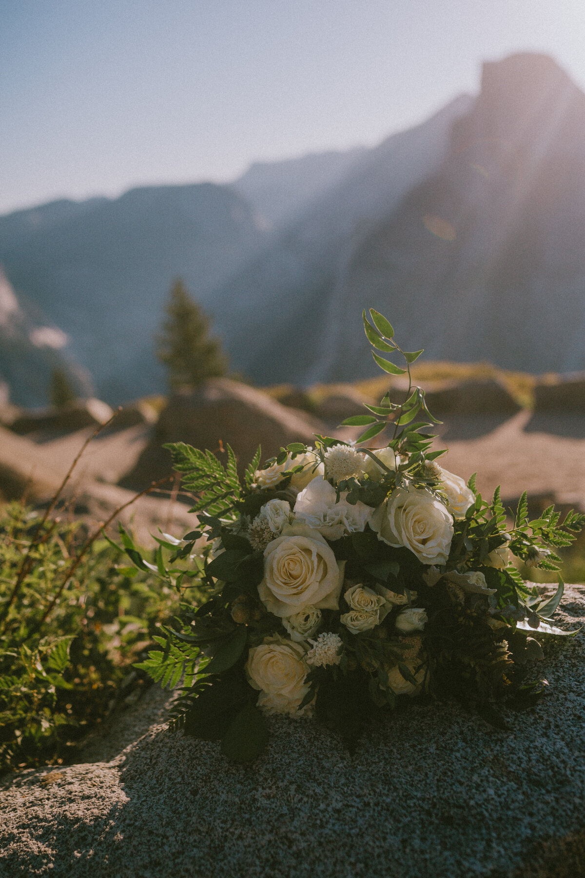 AshleyMitchellWED-2118