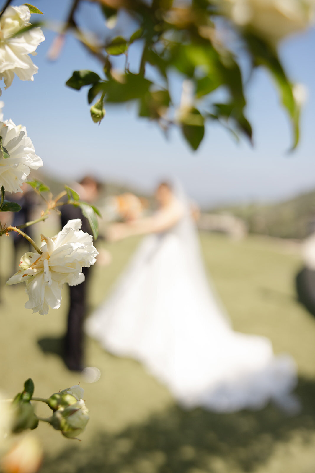 Brookeboroughphotography_CarterandCaroline-16342