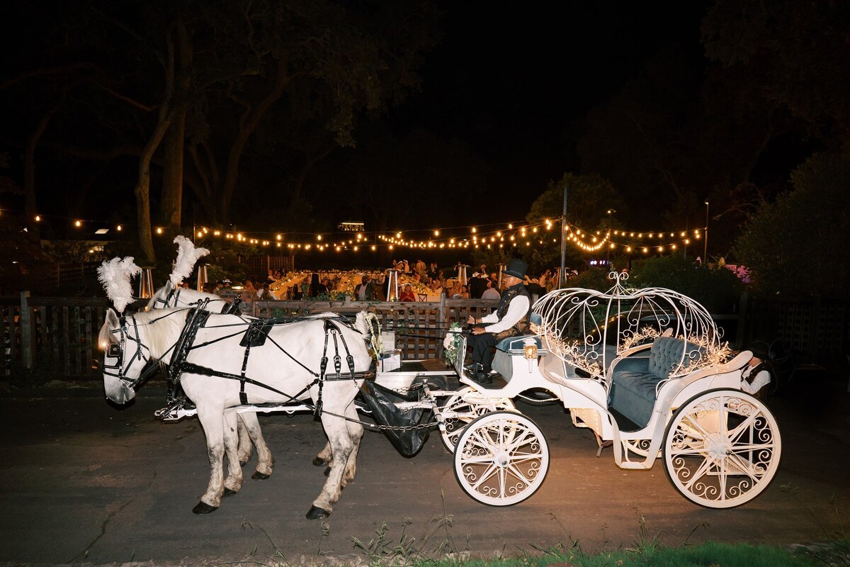 WILLOW-AND-BEN-NAPA-WEDDING-PHOTOGRAPHER-705