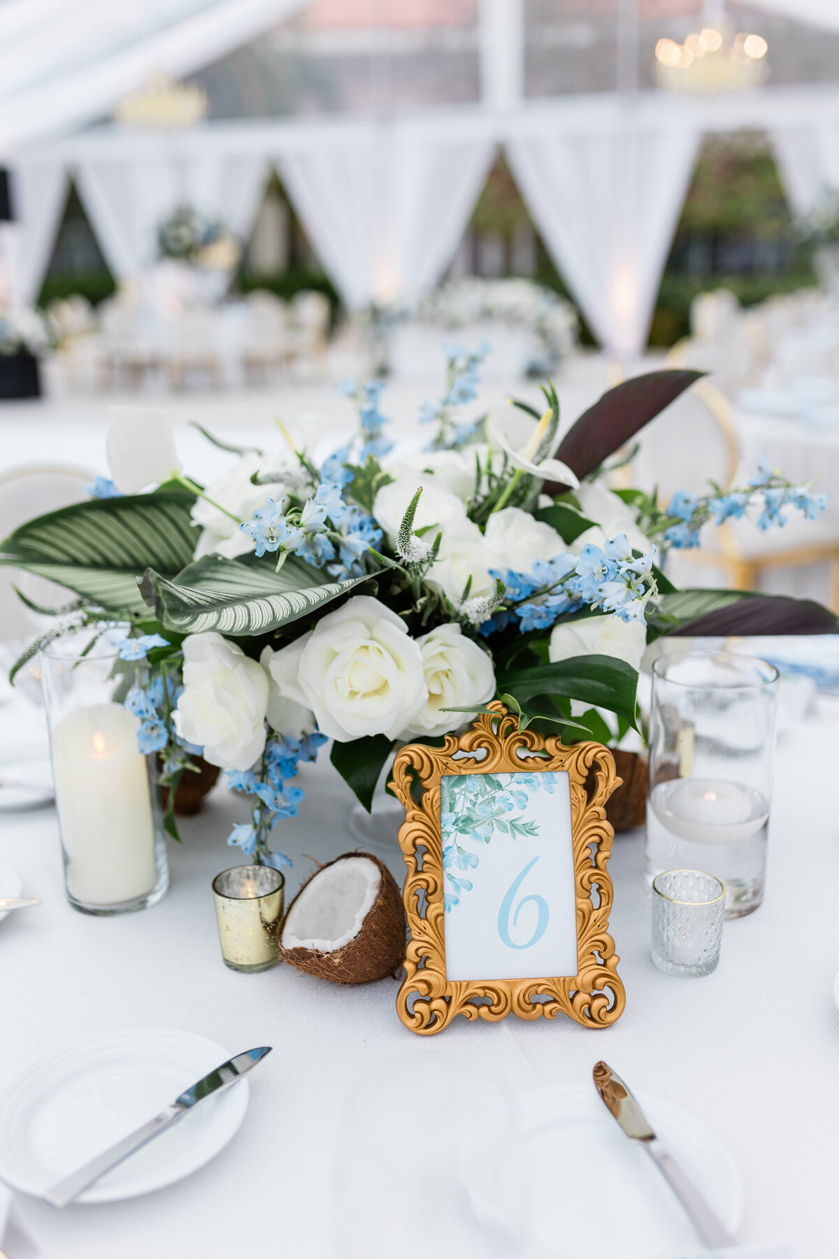 Hotel Bahama WeddingA4331