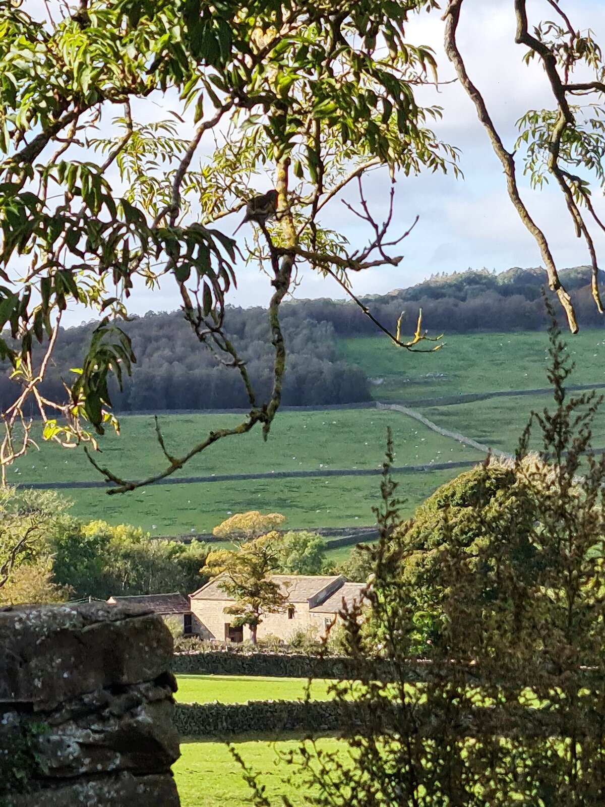 holly_house_cottages_view