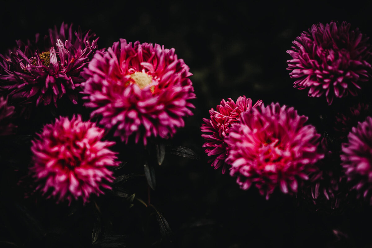 annie-spratt-ODeJqKyYlEY-unsplash