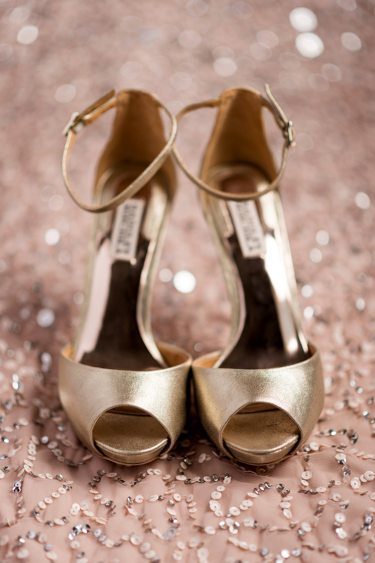 mattandabbey-showit-002