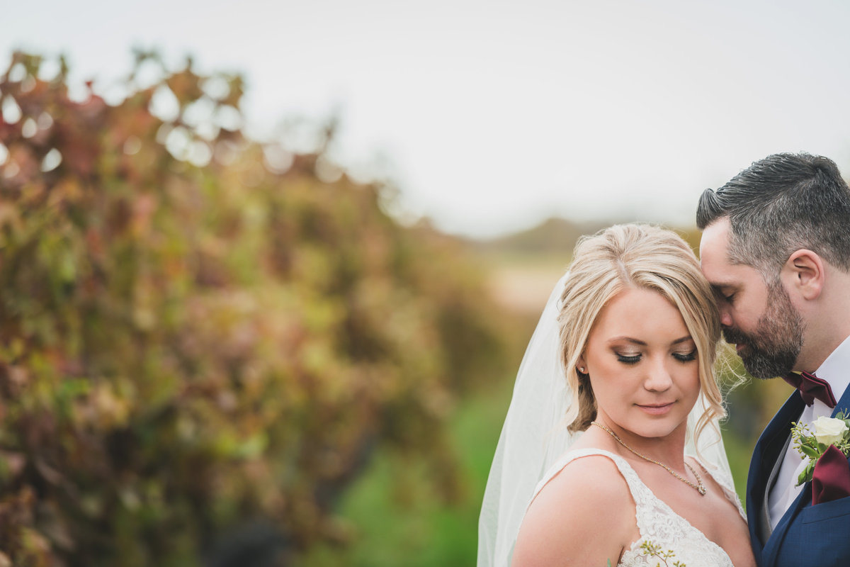 wedding photo of bride and groom touching heads at The Vineyards at Aquebogue