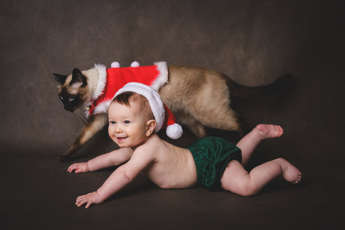 MiniAnna2022-MeganMullins-CharlieSherlock-5932srgb3000px