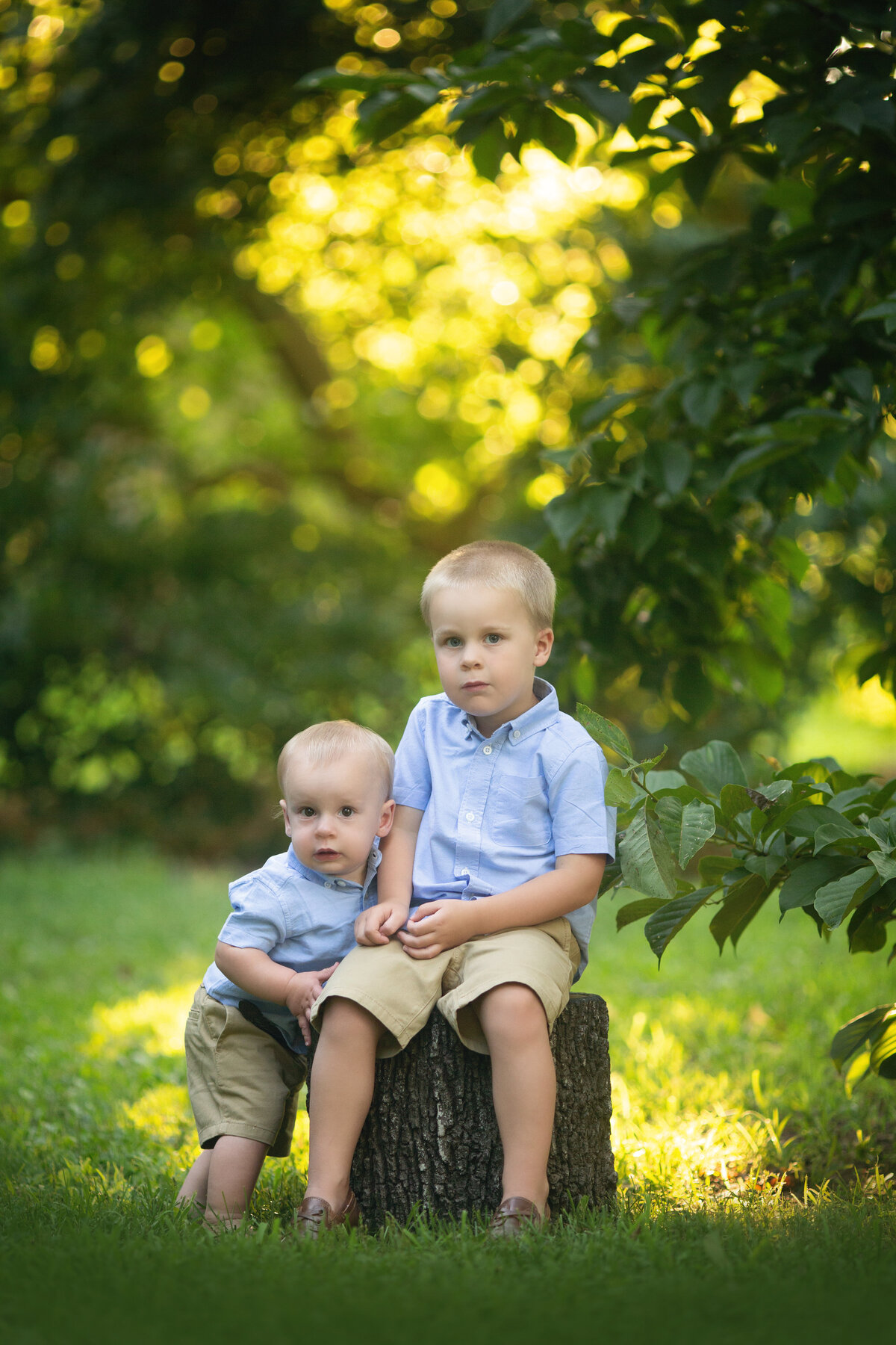 A toddler boy in a blue shirt sits on a stump with his younger brother leaning on him