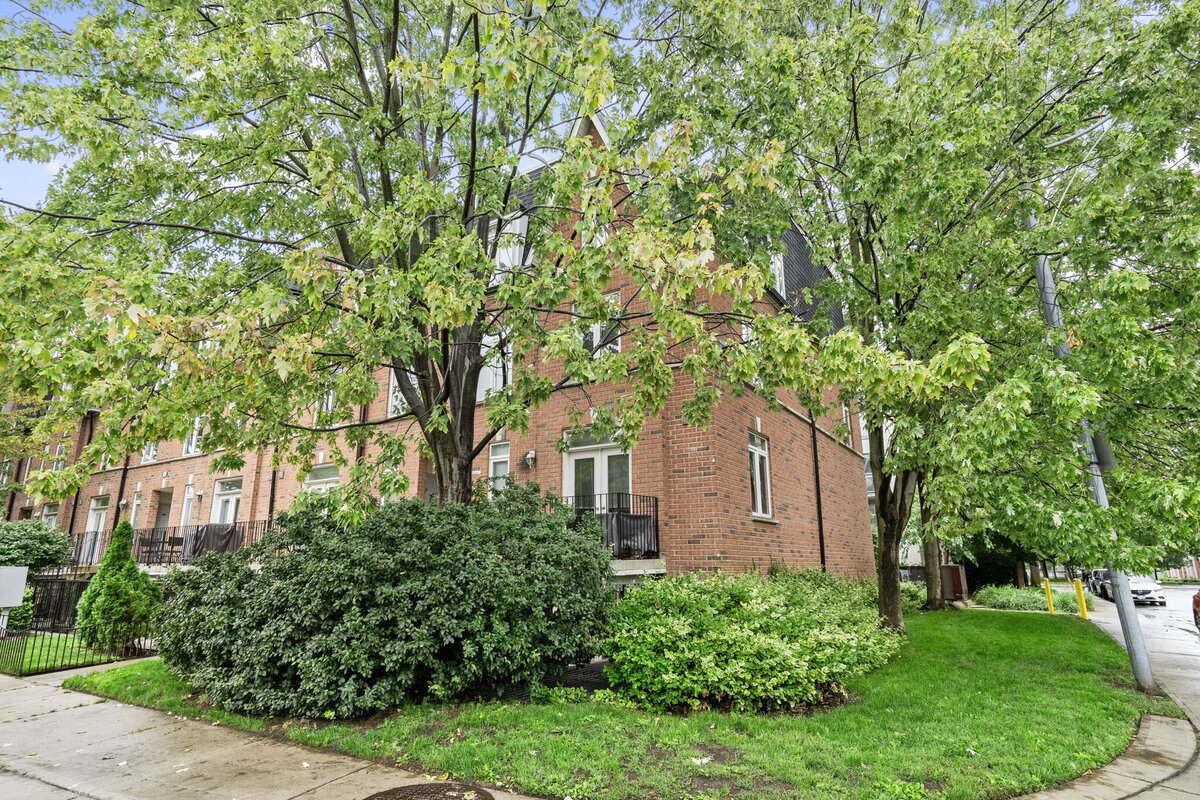 41-web-or-mls-DSC00266