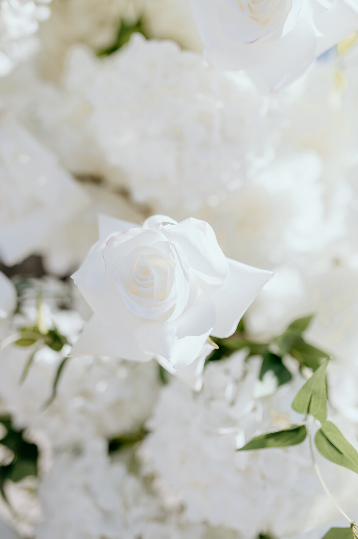Florals_CircleArch-20