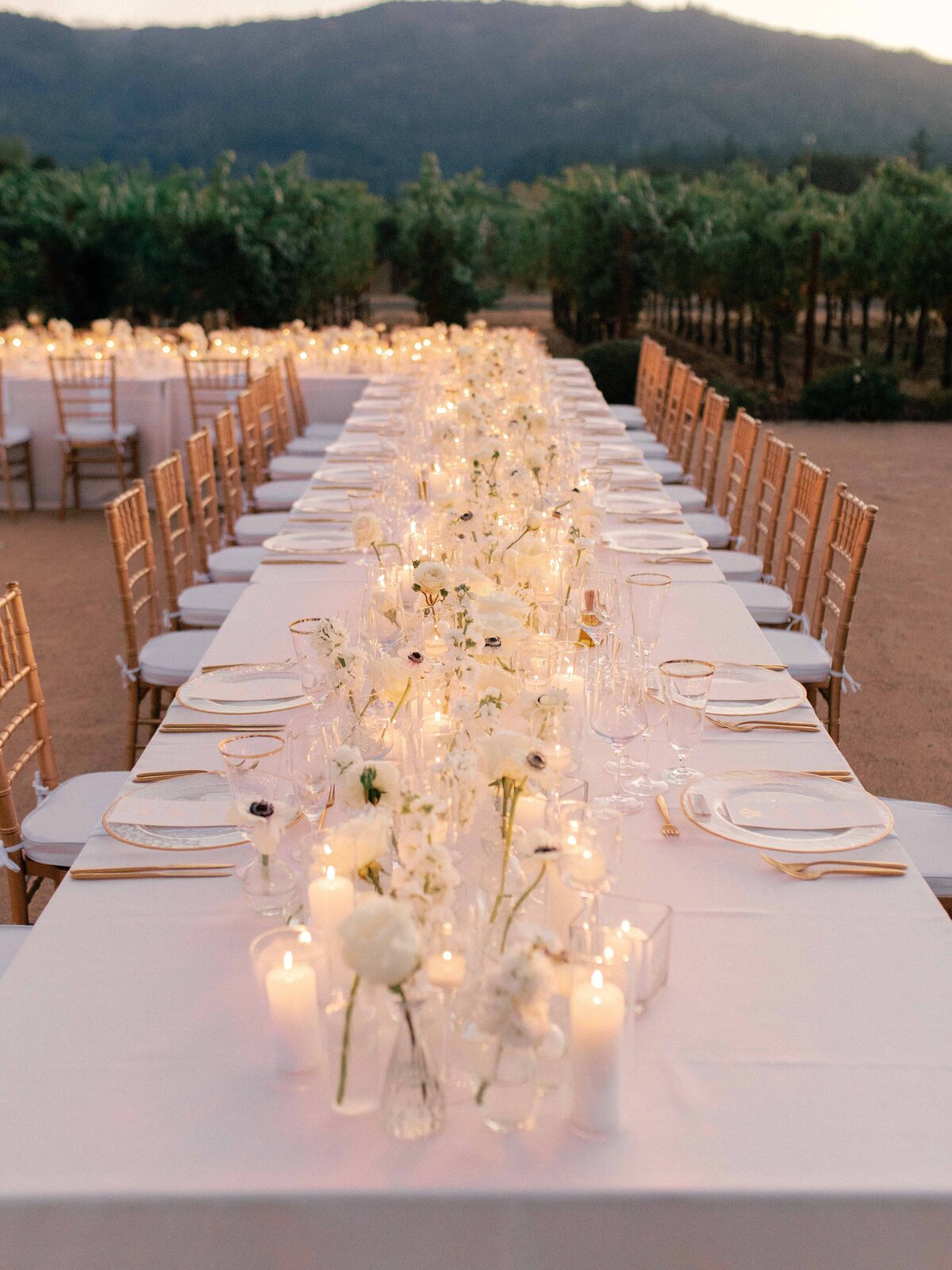 Morgan-Brooks-Photography-Napa-wedding-tre-posti-2024-6400