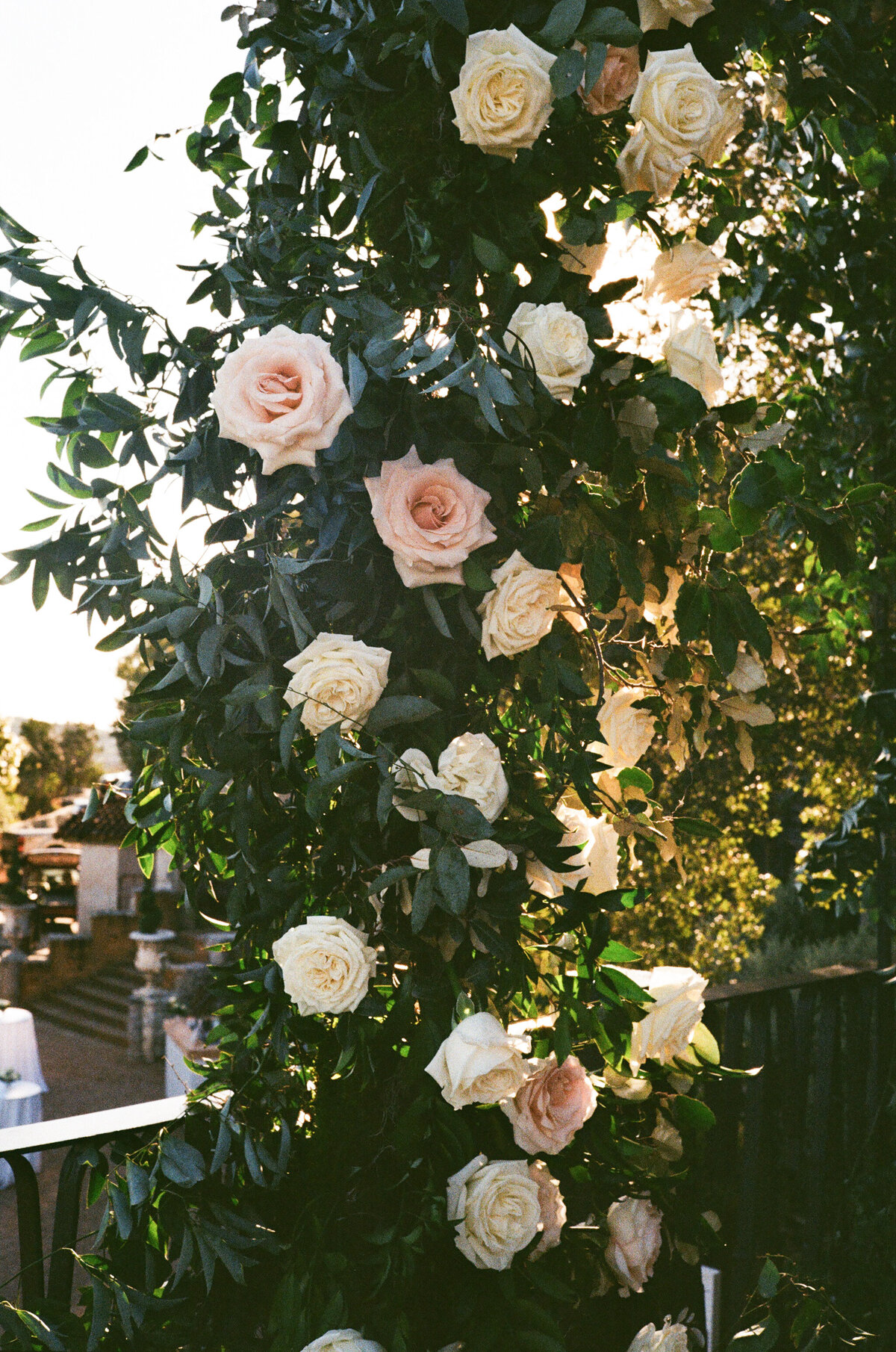 Megan+Baker_Film-27