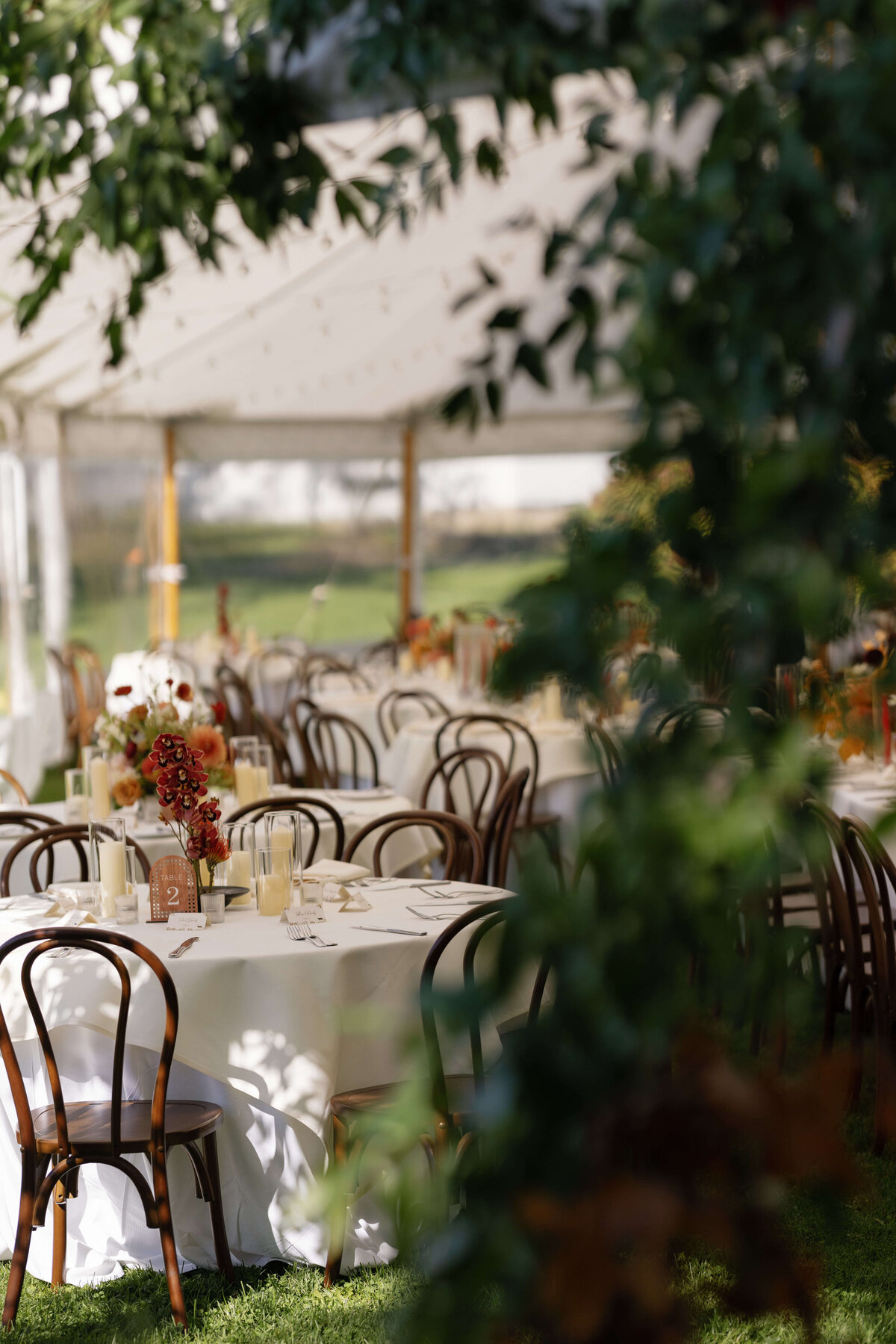 TriciaBaileyPhotography-792