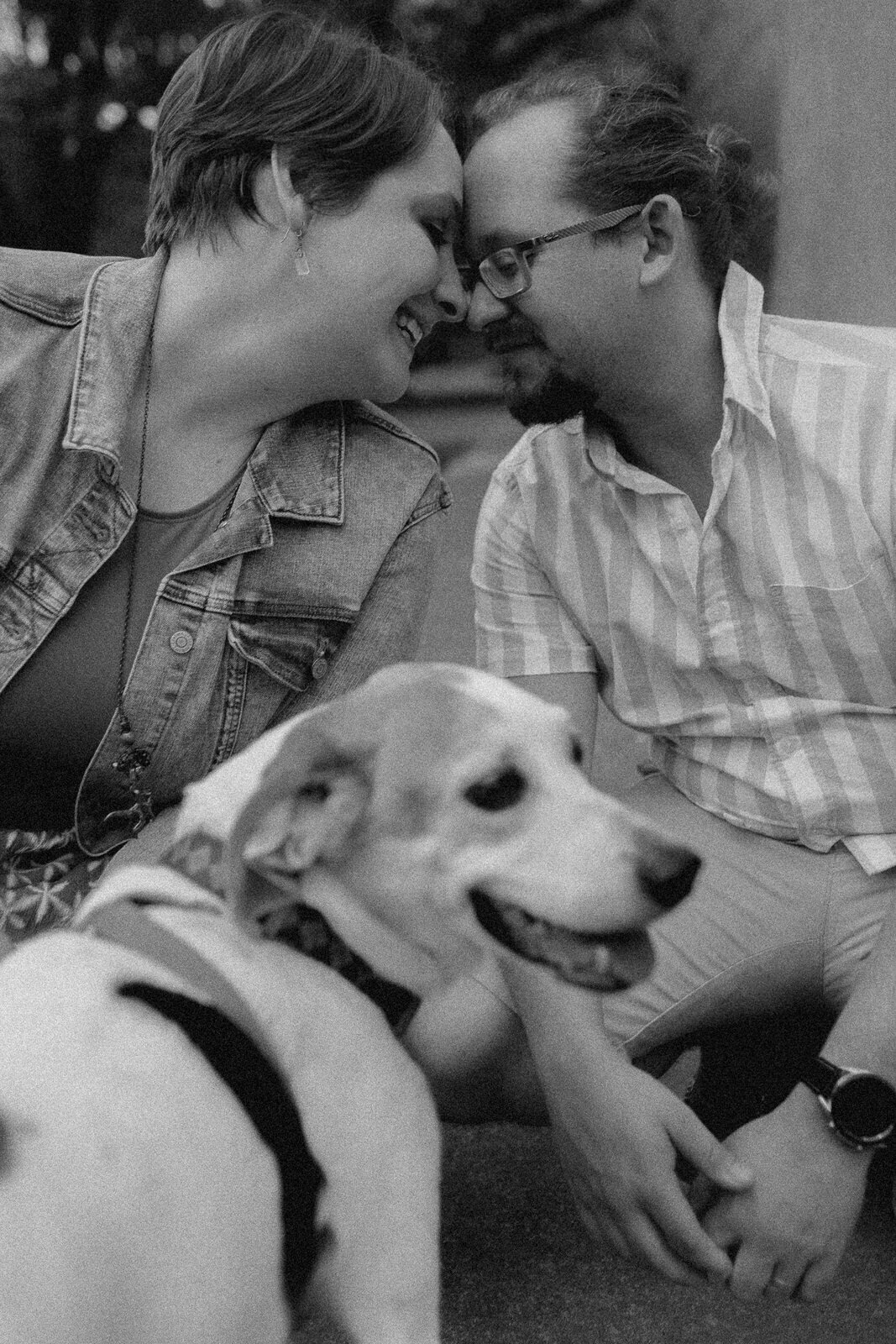dog-family-photos-illinois-storytelling-emotional-25