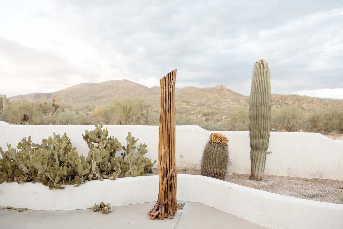 SyriaSanchezPhotos-5722