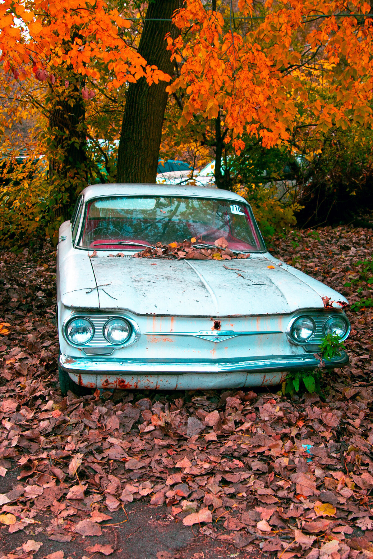 Corvair-with-fall-leaves