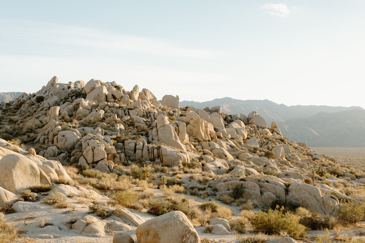 joshua-tree-photography-8117