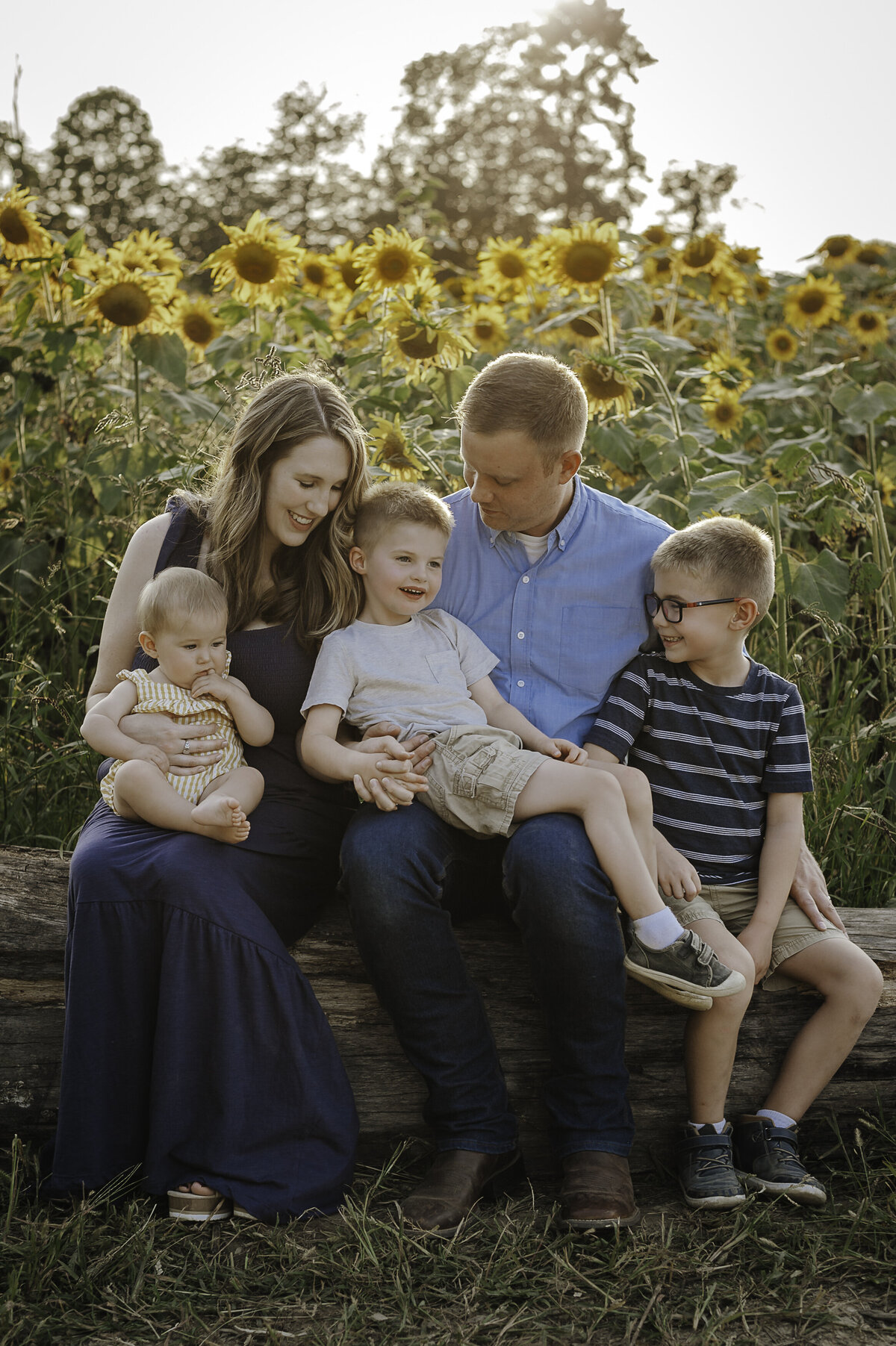 Verona B Photography captures a beautiful summer family photo of a dad, mom and their three kids at Medina Sunflower Farm in Medina, OH. The sunflowers were absolutely gorgeous on this lovely sunny day and it was so wonderful to capture this family in this beautiful setting near Akron.