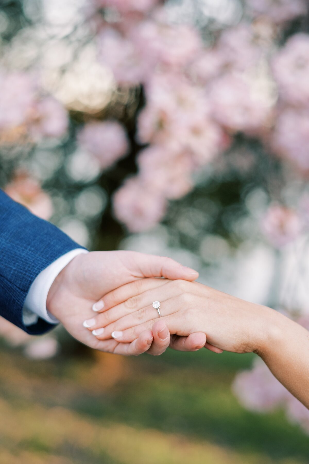 charleston-and-washington-dc-engagement-photographer-meredith-alex-4