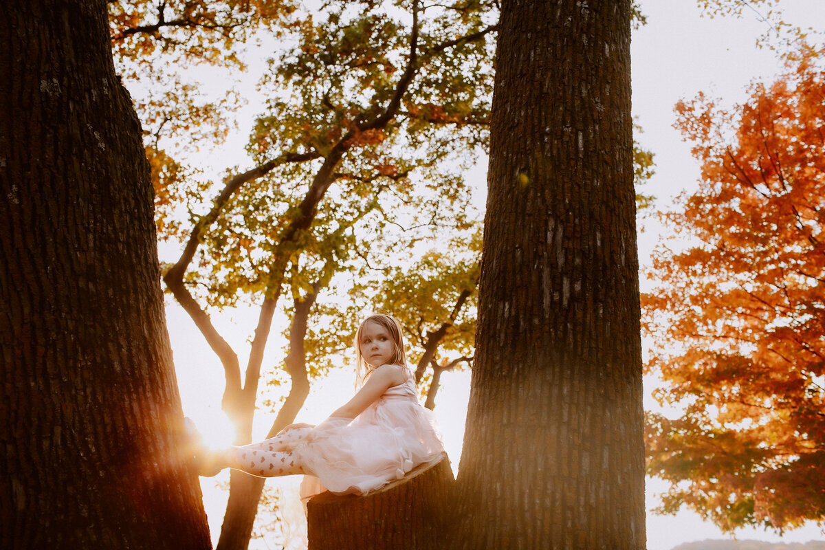 child sits in a tree surrounded by leaves and branches and the sunset as the sun glows behind her in vibrant colors