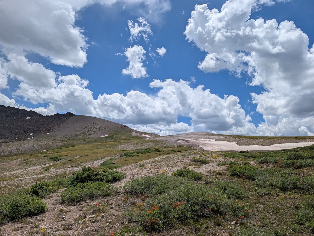 PXL_20250710_194718641.RAW-01.MP.COVER