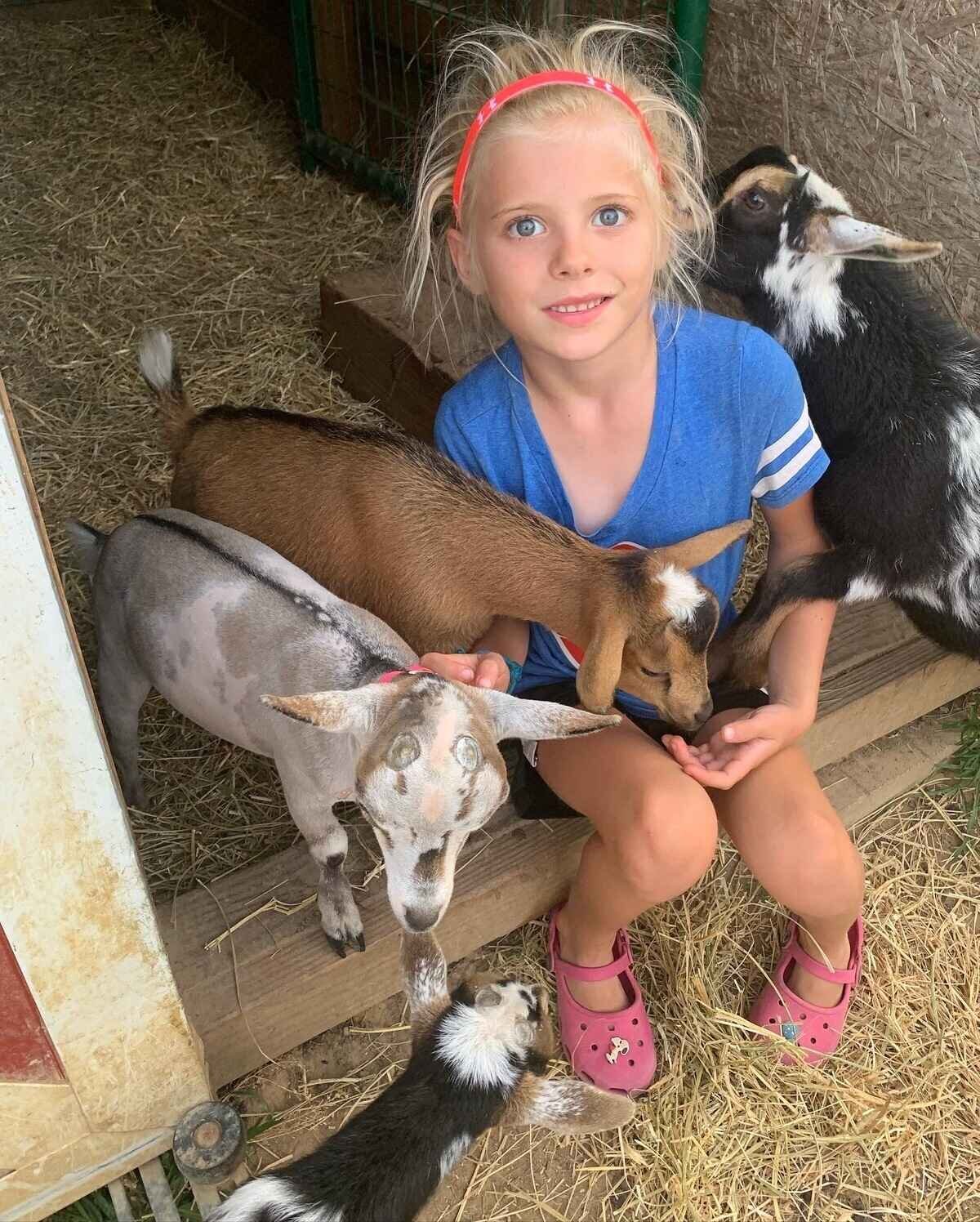 nigerian-dwarf-goat-kids-at-hope-hill-farm-with-girl