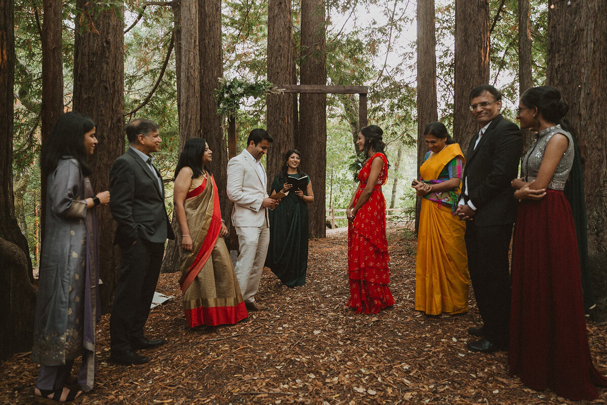 wedding party standing in forest