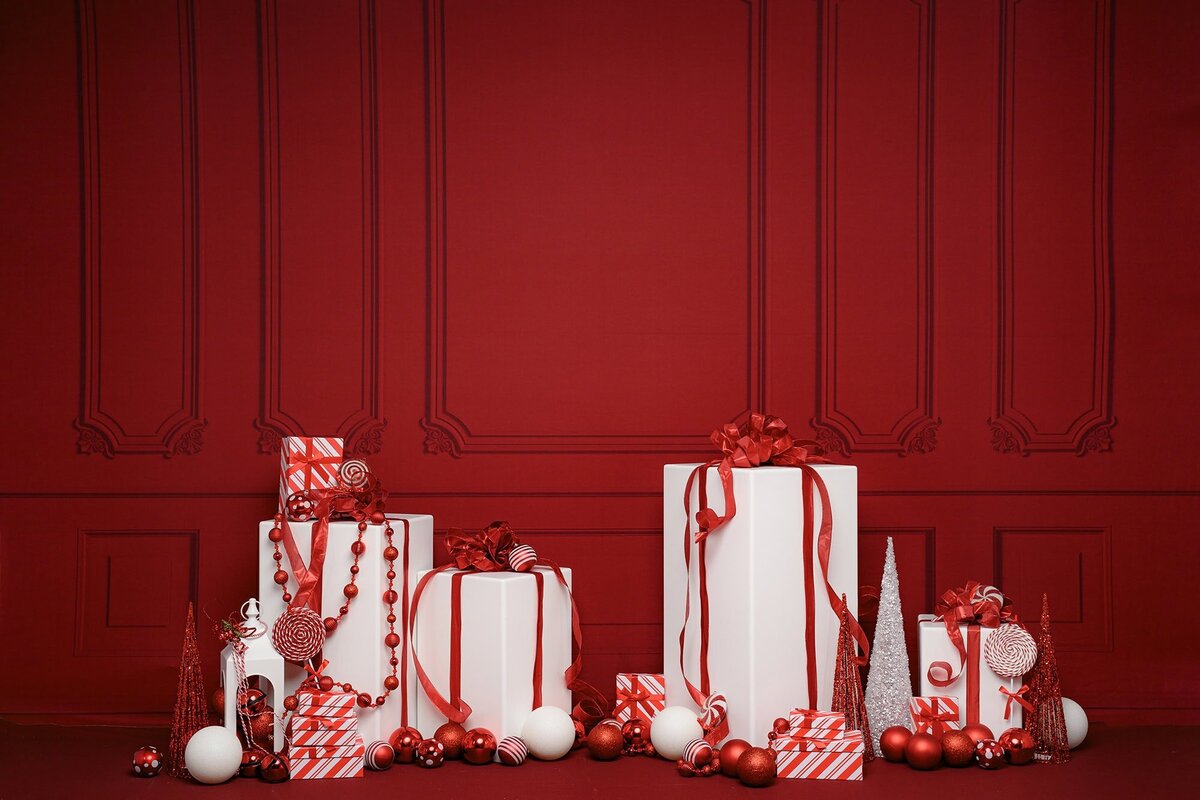 Charlotte-Limited-Edition-Holiday-Session-Tobis-Timeless-Treasures-001