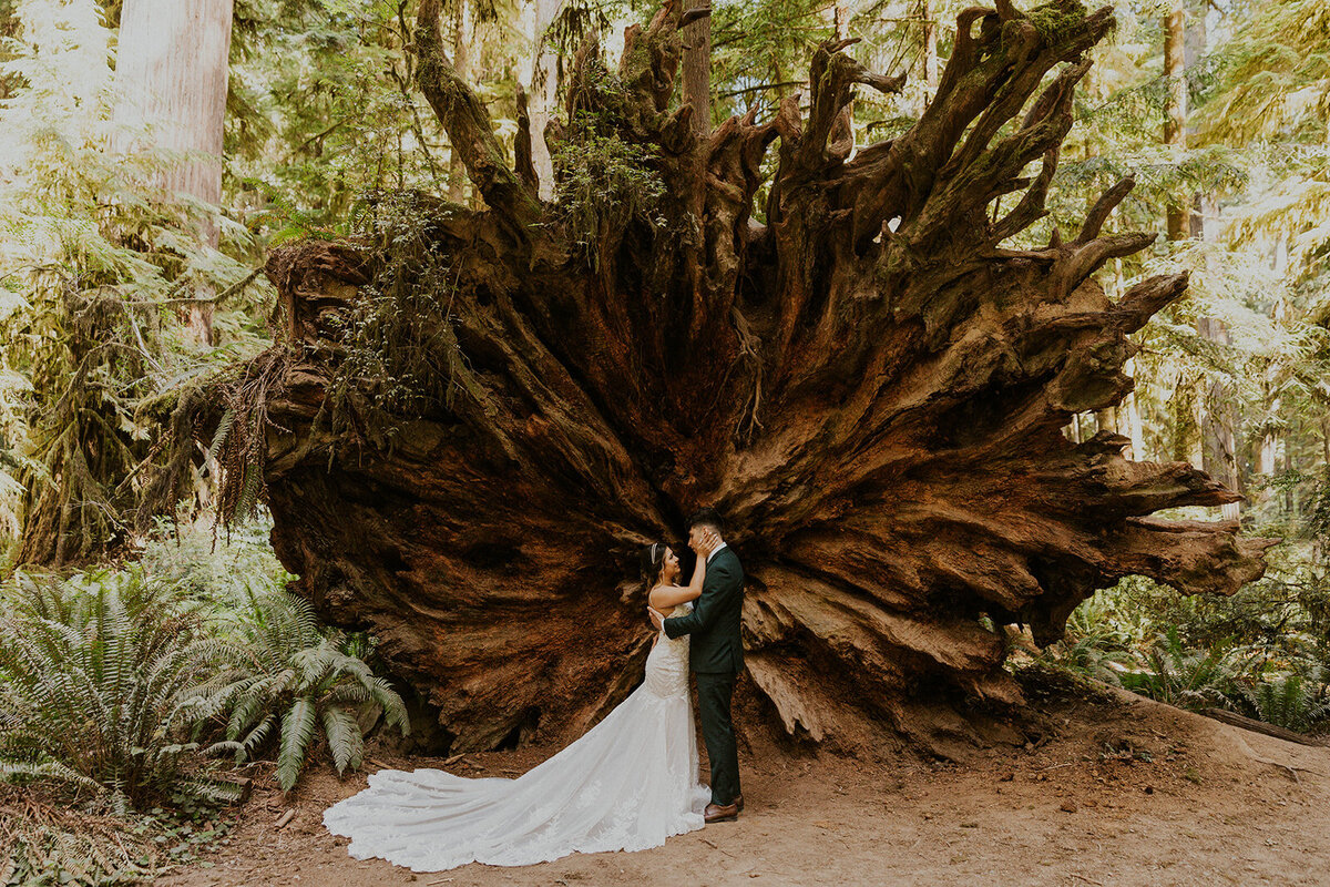 Redwood-national-park-elopement-venturing-vows-111
