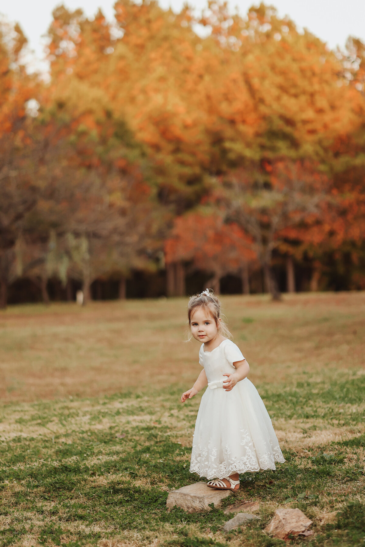 wedding, elopement, boudoir photographer