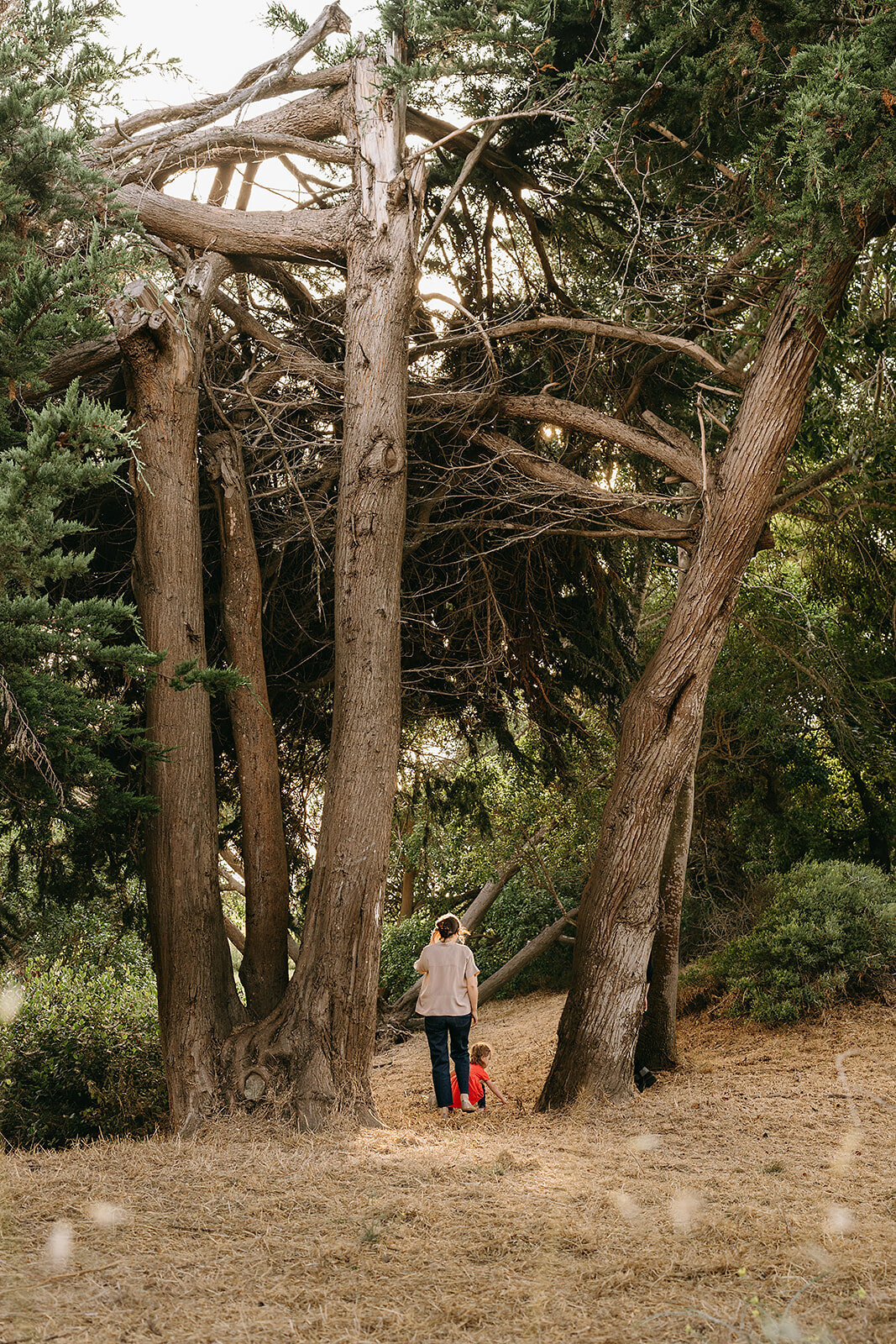 Berkeley-Family-Session-Golden-Skies00006
