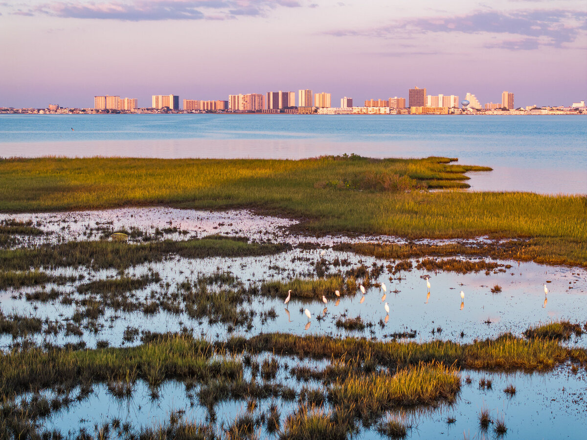 Waterfront photography 65
