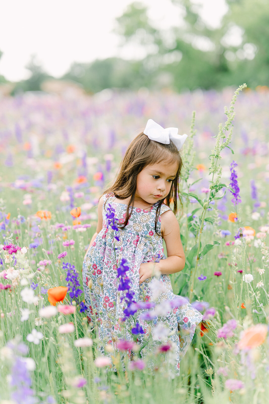 dallas-wildflower-photography-2