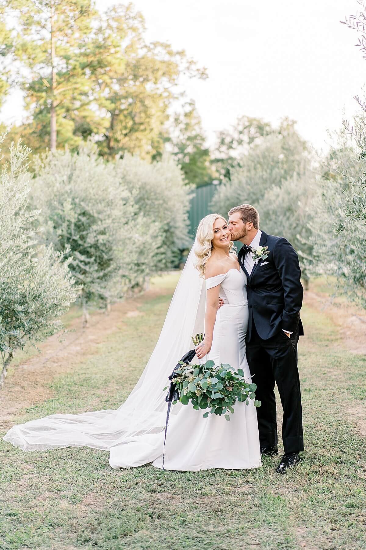 Bride and Groom Portraits in the Olive Grove at Annex Wedding Venue photography by Alicia Yarrish Photography
