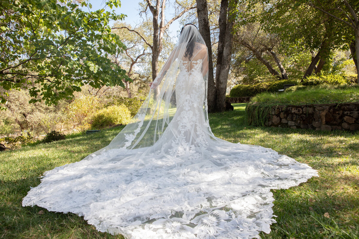 long lace veil and wedding dress