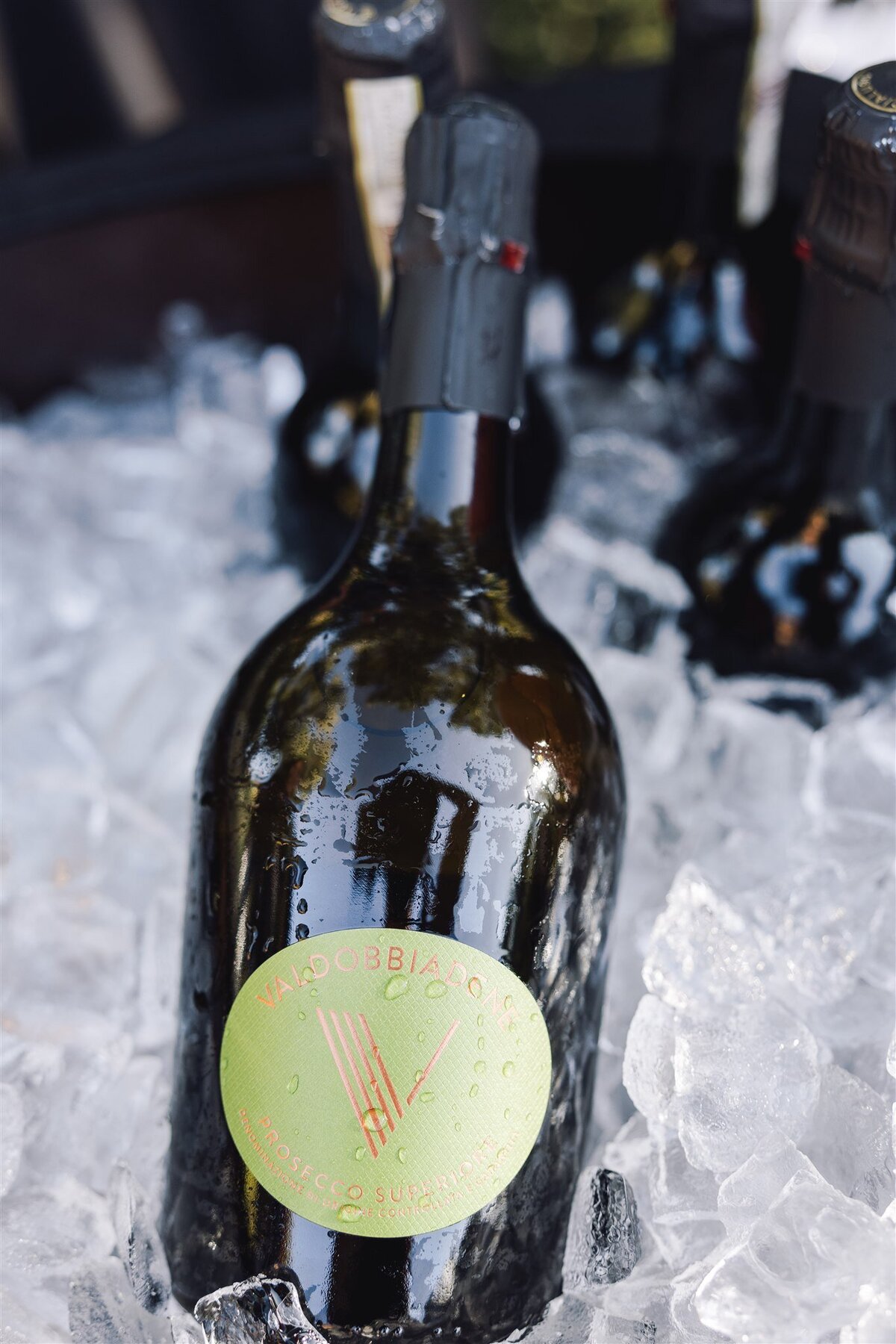 viansa-sonoma-wedding-annie-ben-ashley-carlascio-photography-0492