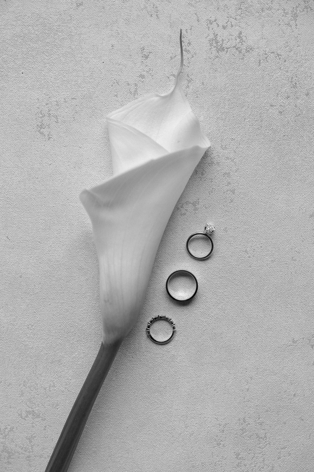 rozanewedding-12