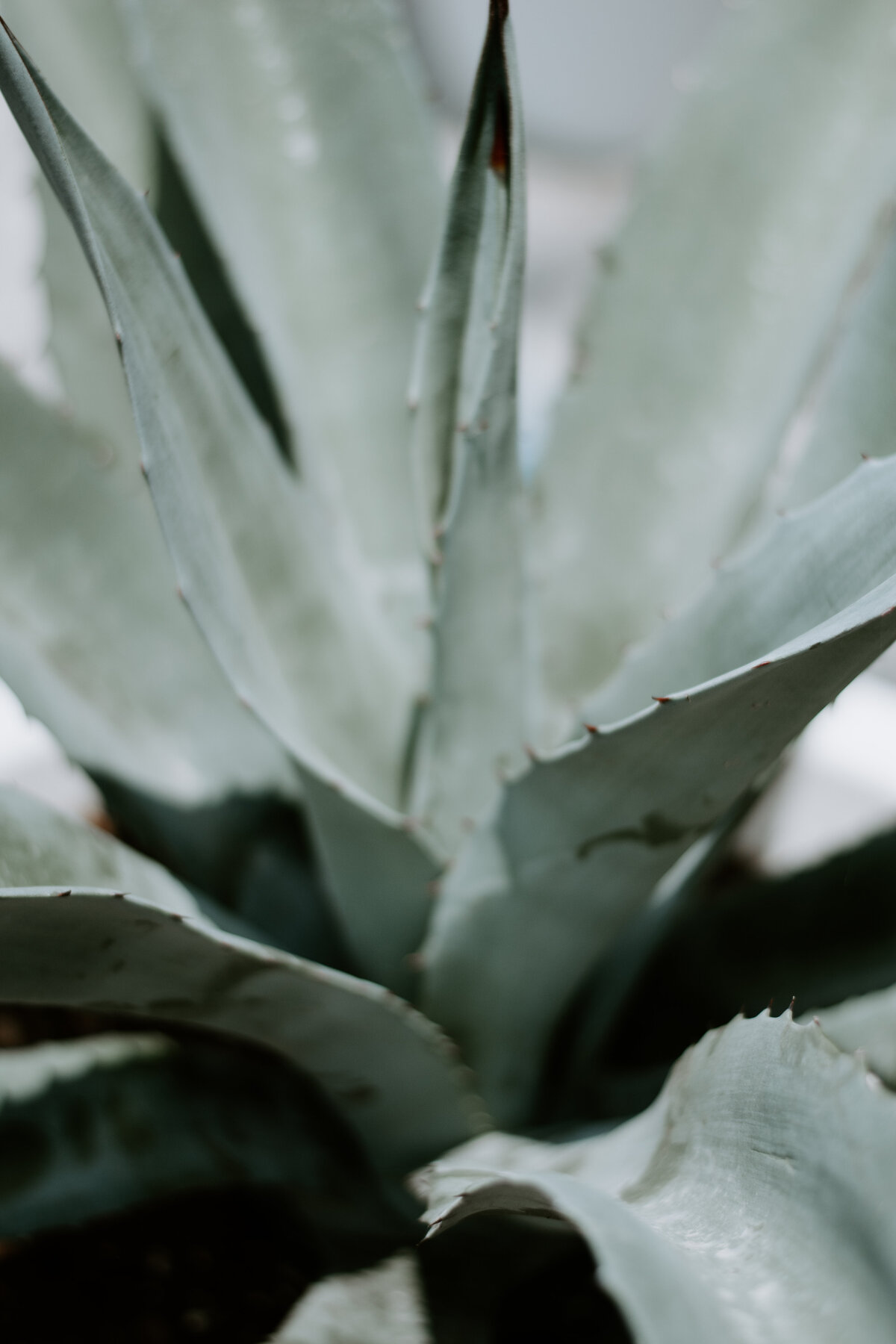 Express Heashots for Upload-4 4