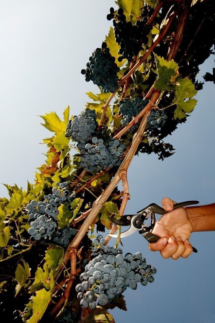 ef499be2d0eb66c8e2a45c46cc06a488