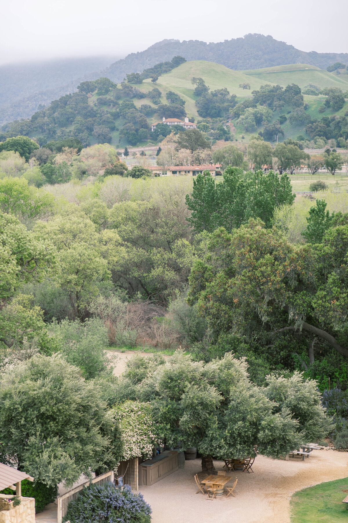 KatieTraufferPhotography- Italian Summer at Sunstone Winery008