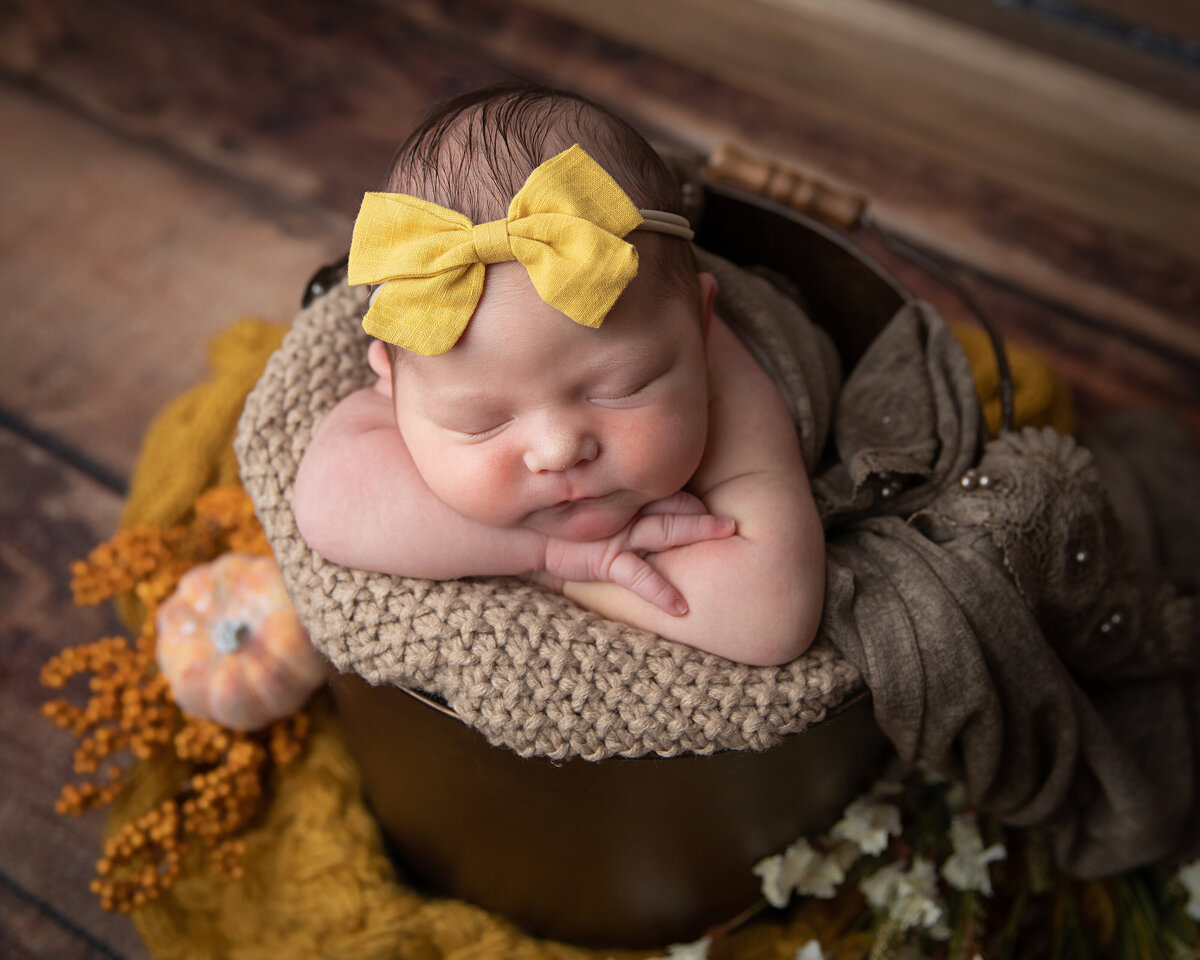 fall-autumn-newborn