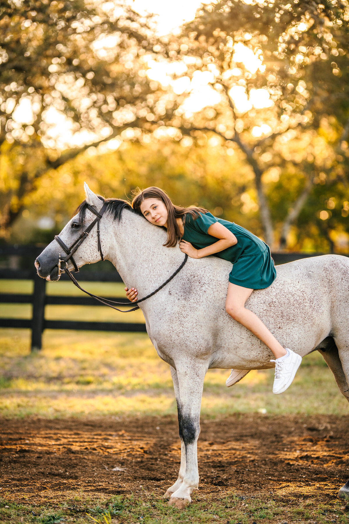 golden hour horse and rider session