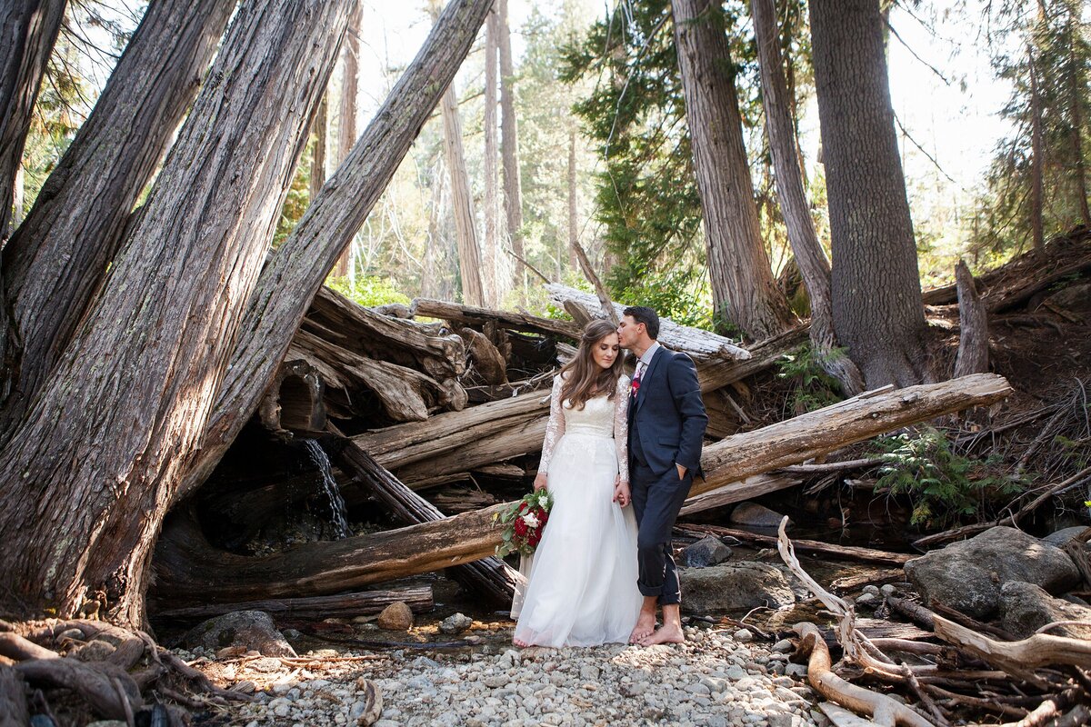 Newly married couple in the woods in Mt Shasta