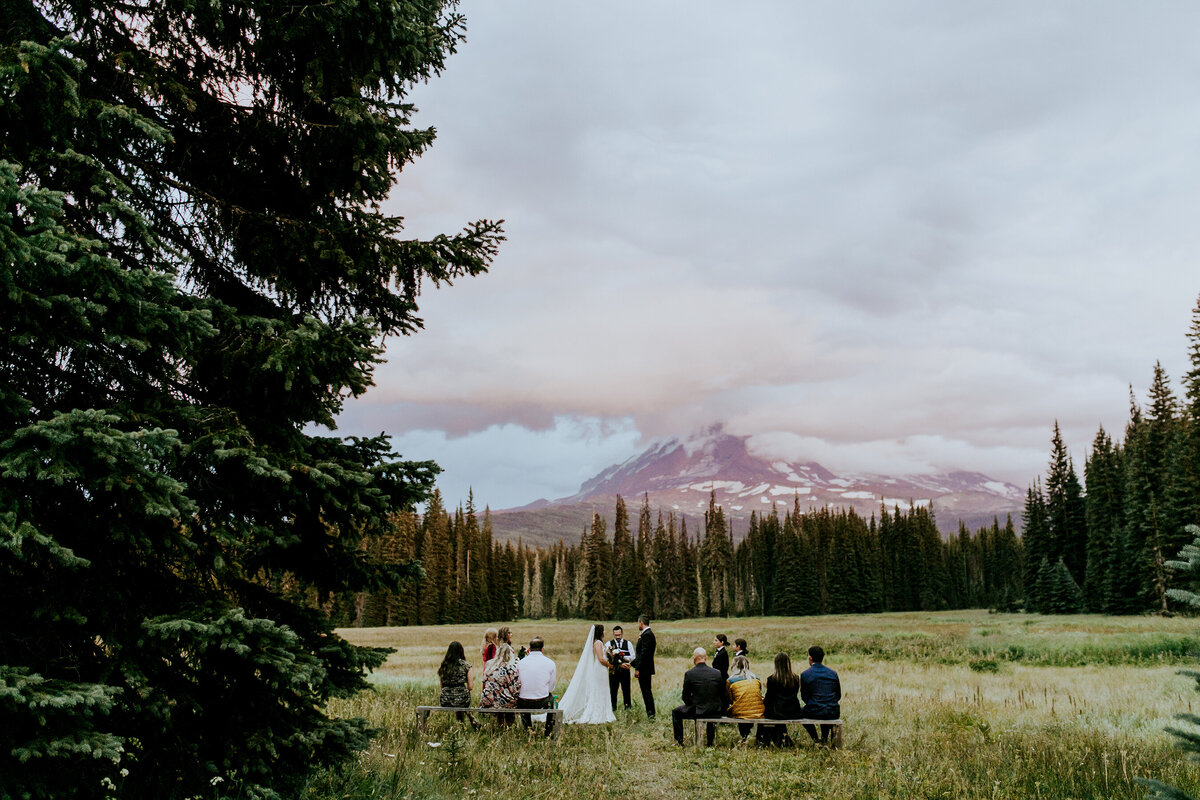 Hazelwood_photo-elopement-photographer-Mt-Adams
