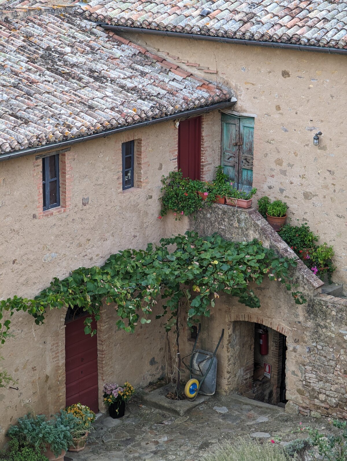 PXL_20231024_075039693