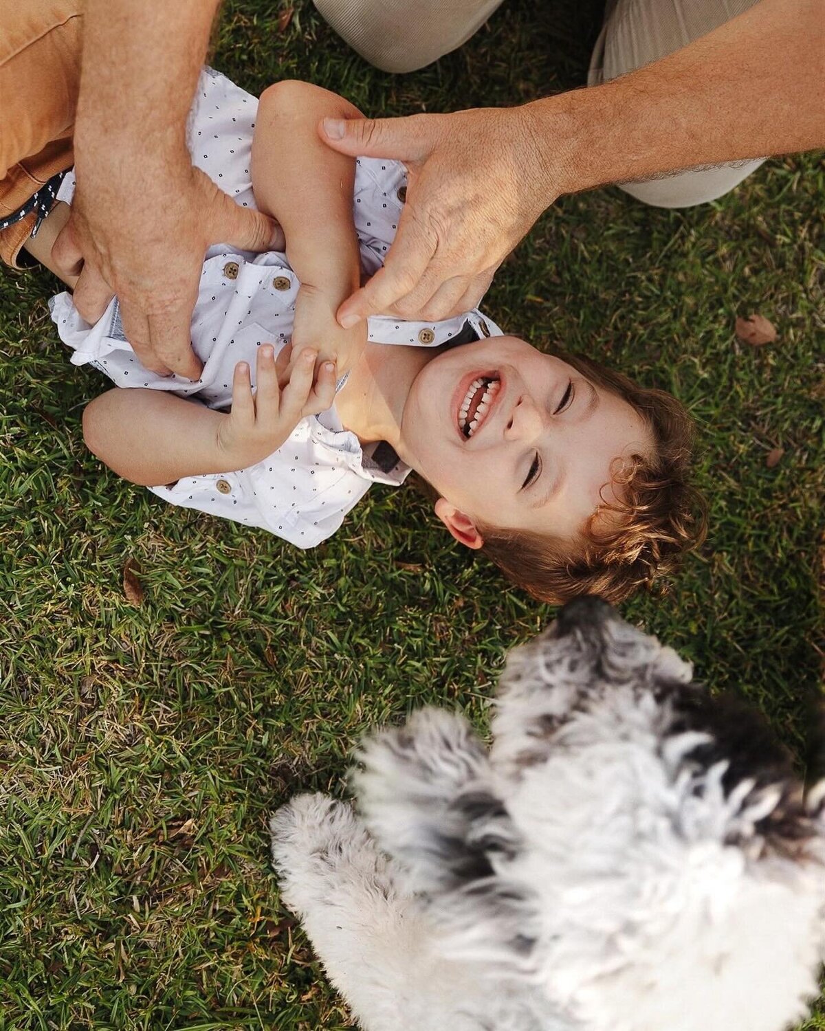 436205509_3170677716402254_3081687680446654694_n