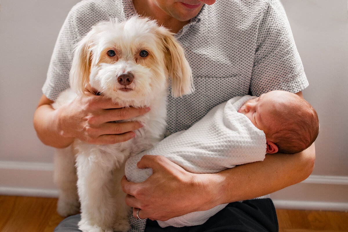 Newborn Baby Photographer