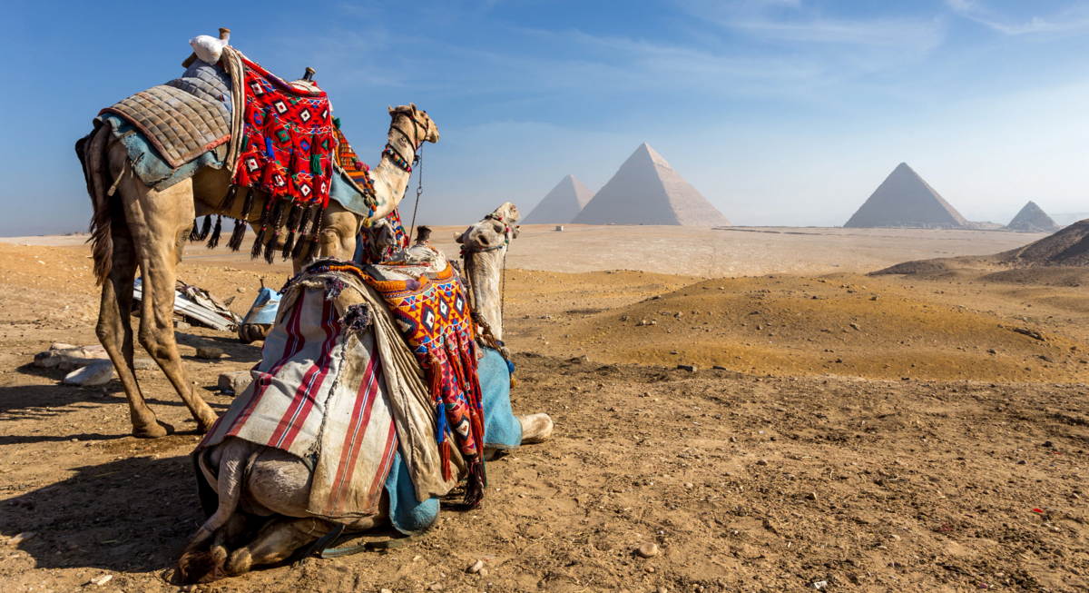 AmaEgypt